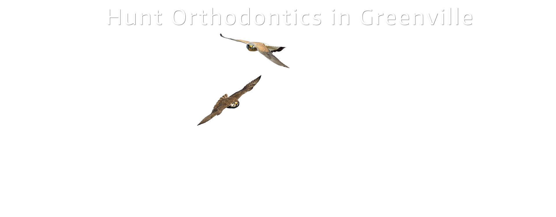 Hunt-Orthodontics-Falcons-Greenville